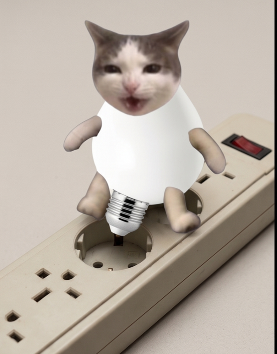 Lamp Cat sitting on a power strip, plugged in